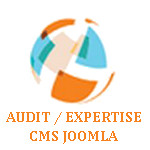 logo audit expertise